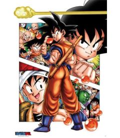 Dragon Ball - Son Goku Story (91,5 x 61 cm)