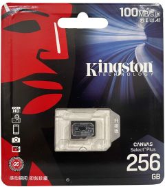 Scheda Di Memoria Micro SDXC Kingston (256 GB)