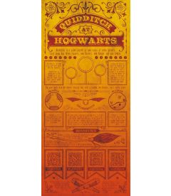 Harry Potter - Quidditch At Hogwarts (Limited Edition, 42 x 19 cm)
