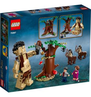 Lego Harry Potter - La Foresta Proibita: L' Incontro Con La Umbridge