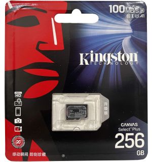 Scheda Di Memoria Micro SDXC Kingston (256 GB)