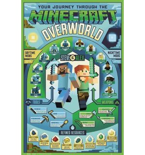 Poster Minecraft - Overworld Biome