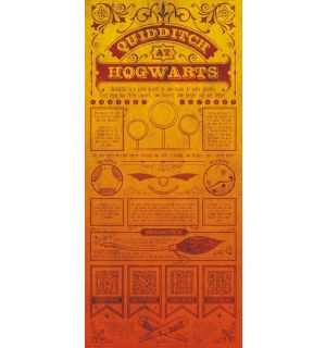 Harry Potter - Quidditch At Hogwarts (Limited Edition, 42 x 19 cm)