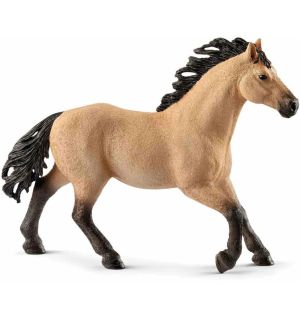 CAVALLO - STALLONE QUARTER HORSE